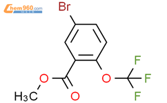 5 Bromo 2 trifluoromethoxy benzoic acid methyl ester 773874 13 8 赫澎上海