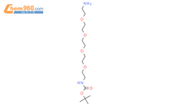 Tert Butyl Amino