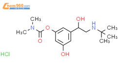 3 2 Tert Butylamino 1 Hydroxyethyl 5 Hydroxyphenyl N N