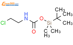 Tert Butyl Dimethyl Silyl N Chloroethyl Carbamate