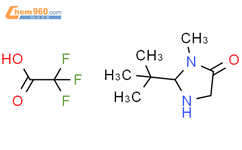 R R Tert Butyl Methyl