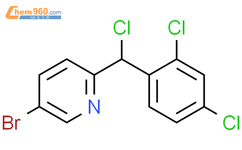 5 bromo 2 chloro 2 4 dichlorophenyl methyl pyridine 920032 82 2 深圳爱拓