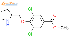 Methyl Dichloro S Pyrrolidin Yl Methoxy Benzoate