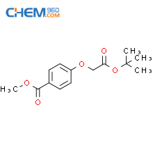 Cas No Benzoic Acid Dimethylethoxy