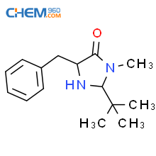 Cas No S S Tert Butyl Methyl Benzyl