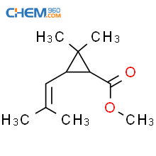 Cas No Cyclopropanecarboxylicacid Dimethyl Methyl