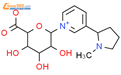 n葡糖苷酸异丙嗪