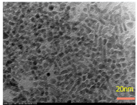 谷胱甘肽修饰的四氧化三铁纳米颗粒 5 nm结构式图片|结构式图片