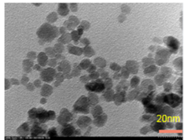 谷胱甘肽修饰的四氧化三铁纳米颗粒 10 nm结构式图片|结构式图片