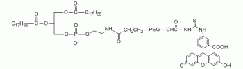 绿色荧光素标记二棕榈酰磷脂酰乙醇胺结构式图片|结构式图片