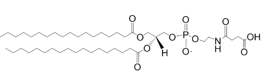 二硬脂酰磷脂酰乙醇胺改性氨基
