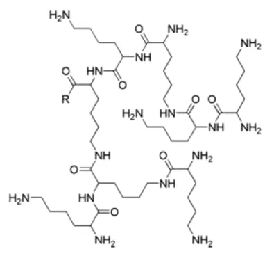 树枝聚赖氨酸99.9%结构式图片|结构式图片
