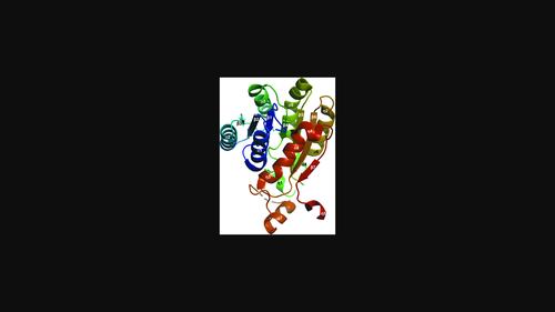 Crystal Structure Of A Putative 3 Hydroxypimelyl CoA Dehydrogenase