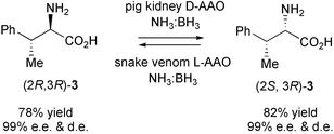 Graphical abstract: Stereoinversion of β- and γ-substituted α-amino acids using a chemo-enzymatic oxidation–reduction procedure