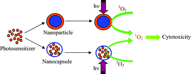 Graphical abstract: Nanomaterials and singlet oxygen photosensitizers: potential applications in photodynamic therapy