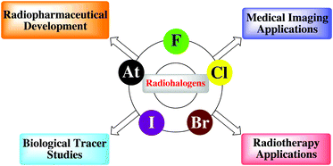 Graphical abstract: Radiohalogens for imaging and therapy