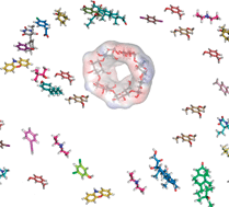 Graphical abstract: Combined similarity and QSPR virtual screening for guest molecules of β-cyclodextrin