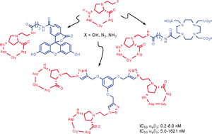 Graphical abstract: 4-Aminoproline-based arginine-glycine-aspartate integrin binders with exposed ligation points: practical in-solution synthesis, conjugation and binding affinity evaluation