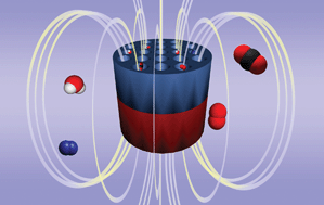 Graphical abstract: Microporous magnets