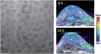 Graphical abstract: Palladium nanosheets as highly stable and effective contrast agents for in vivo photoacoustic molecular imaging