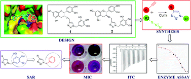 Design Synthesis And Characterization Of Novel Inhibitors Against