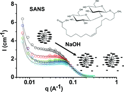 Graphical abstract: Surface charge of acidic sophorolipid micelles: effect of base and time