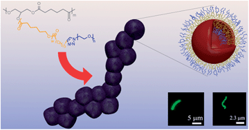 Graphical abstract: Synthesis and characterization of graft copolymers able to form polymersomes and worm-like aggregates