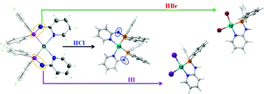 Graphical abstract: Pd(ii) coordinated deprotonated diphenyl phosphino amino pyridine: reactivity towards solvent, base, and acid