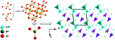 Graphical abstract: A new polymorph of Cd3B2O6: synthesis, crystal structure and phase transformation