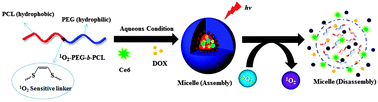 Visible Light Induced Singlet Oxygen Mediated Intracellular Disassembly