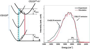 Graphical abstract: Metastable charge-transfer state of californium(iii) compounds