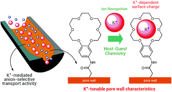 Hostguest Supramolecular Chemistry In Solid State Nanopores Potassium