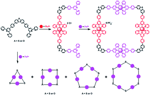 Terpyridinyl Dibenzo B D Furan And Dibenzo B D Thiophene Based