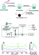 Graphical abstract: Biodegradable PLGA nanoparticles loaded with hydrophobic drugs: confocal Raman microspectroscopic characterization
