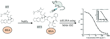 Graphical abstract: Sodium periodate-mediated conjugation of harringtonine enabling the production of a highly specific monoclonal antibody, and the development of a sensitive quantitative analysis method