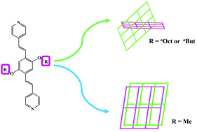 Graphical abstract: Diverse structures of metal–organic frameworks via a side chain adjustment: interpenetration and gas adsorption