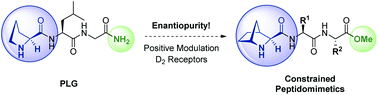 Graphical abstract: Novel l-prolyl-l-leucylglycinamide (PLG) tripeptidomimetics based on a 2-azanorbornane scaffold as positive allosteric modulators of the D2R