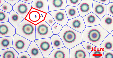Graphical abstract: Collective interactions in the nucleation and growth of surface droplets