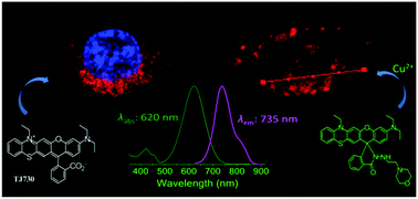 A unique rectilinearly π extended rhodamine dye with large Stokes shift