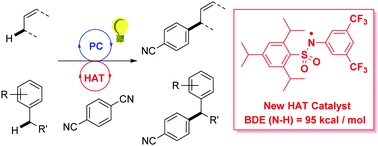 Graphical abstract: Sulfonamides as new hydrogen atom transfer (HAT) catalysts for photoredox allylic and benzylic C–H arylations