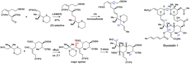 Graphical abstract: Synthetic approaches to the C11–C27 fragments of bryostatins
