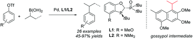 Graphical abstract: Efficient cross-coupling of aryl/alkenyl triflates with acyclic secondary alkylboronic acids