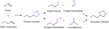 Graphical abstract: Matrix isolation study of the early intermediates in the ozonolysis of selected vinyl ethers
