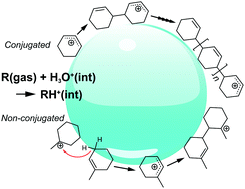 Graphical abstract: Chain-propagation, chain-transfer, and hydride-abstraction by cyclic carbocations on water surfaces