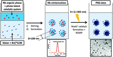 Graphical abstract: Photolatent ring-opening metathesis polymerization in miniemulsion: a powerful approach to produce polynorbornene latexes