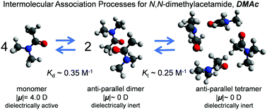 Anti Parallel Dimer And Tetramer Formation Of Cyclic And Open Structure