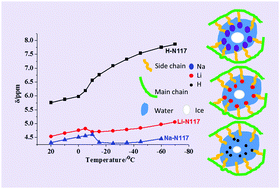 Graphical abstract: A broad-range variable-temperature solid state NMR spectral and relaxation investigation of the water state in Nafion 117