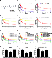 Graphical abstract: CAY10683 and imatinib have synergistic effects in overcoming imatinib resistance via HDAC2 inhibition in chronic myeloid leukemia