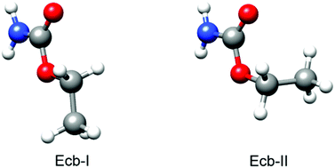 Graphical abstract: Microsolvation of ethyl carbamate conformers: effect of carrier gas on the formation of complexes
