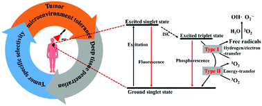 Graphical abstract: Recent progress in photosensitizers for overcoming the challenges of photodynamic therapy: from molecular design to application